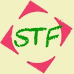 個人投資家 STF氏